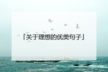 关于理想的优美句子