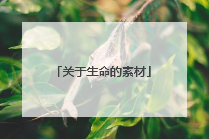 关于生命的素材