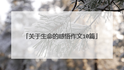 关于生命的感悟作文10篇