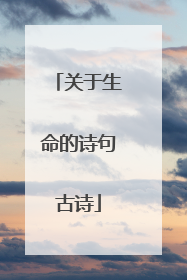 关于生命的诗句古诗
