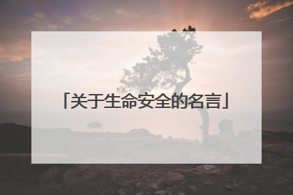 关于生命安全的名言