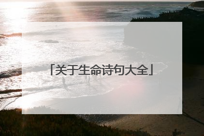 关于生命诗句大全