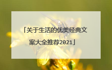 关于生活的优美经典文案大全推荐2021