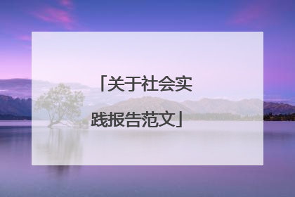 关于社会实践报告范文