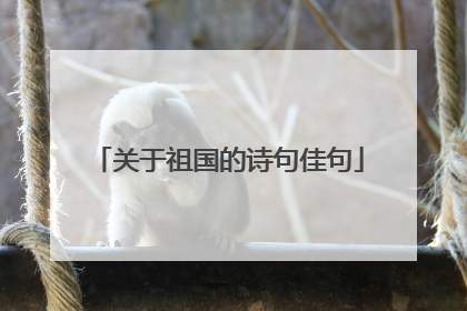 关于祖国的诗句佳句