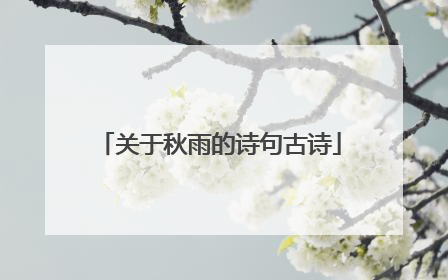 关于秋雨的诗句古诗