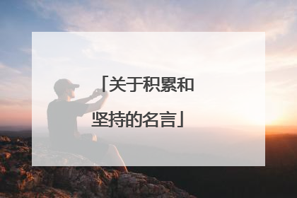 关于积累和坚持的名言