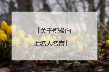 关于积极向上名人名言