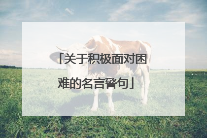 关于积极面对困难的名言警句