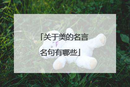 关于美的名言名句有哪些