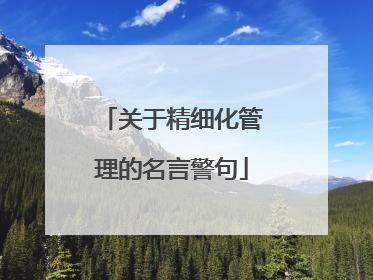 关于精细化管理的名言警句