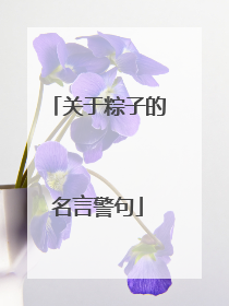 关于粽子的名言警句