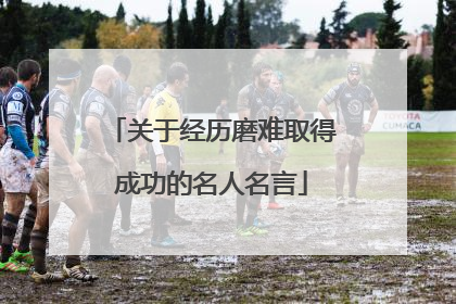 关于经历磨难取得成功的名人名言
