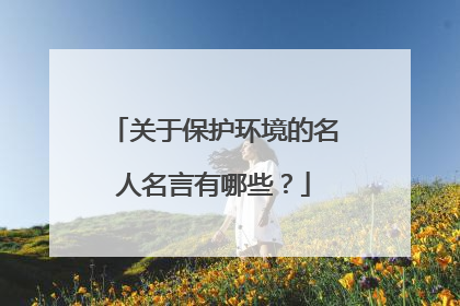 关于保护环境的名人名言有哪些？