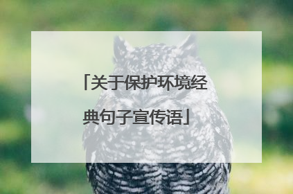关于保护环境经典句子宣传语