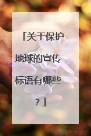 关于保护地球的宣传标语有哪些?