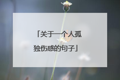 关于一个人孤独伤感的句子