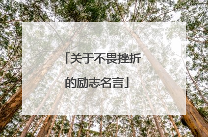 关于不畏挫折的励志名言