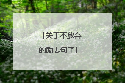 关于不放弃的励志句子