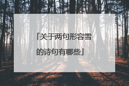 关于两句形容雪的诗句有哪些