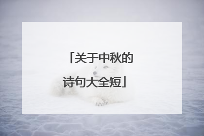 关于中秋的诗句大全短
