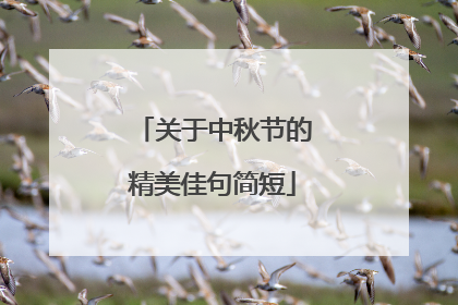 关于中秋节的精美佳句简短