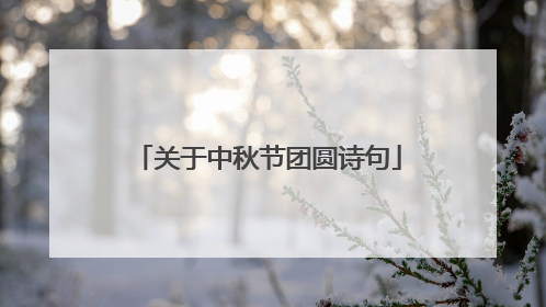 关于中秋节团圆诗句