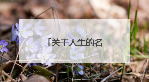 关于人生的名言警句~~~