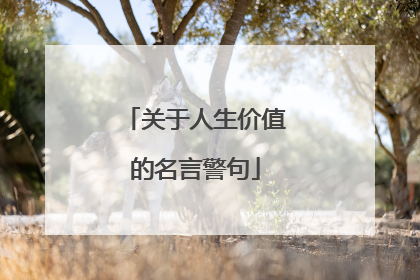 关于人生价值的名言警句