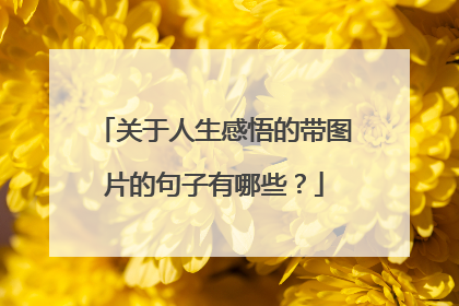 关于人生感悟的带图片的句子有哪些？