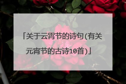 关于云霄节的诗句(有关元宵节的古诗10首)