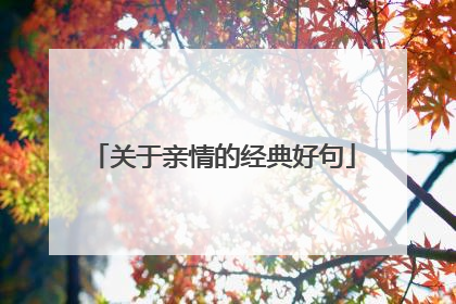 关于亲情的经典好句