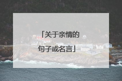 关于亲情的句子或名言