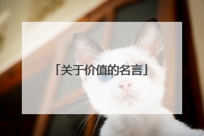 关于价值的名言