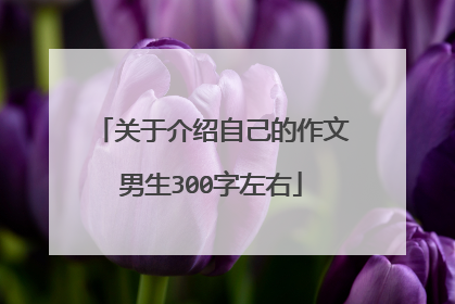 关于介绍自己的作文男生300字左右