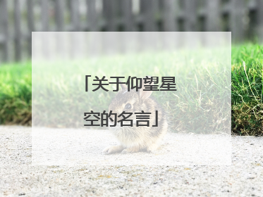 关于仰望星空的名言