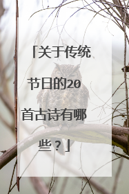 关于传统节日的20首古诗有哪些？