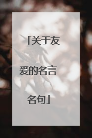 关于友爱的名言名句