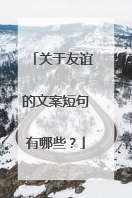 关于友谊的文案短句有哪些？