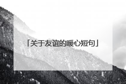 关于友谊的暖心短句