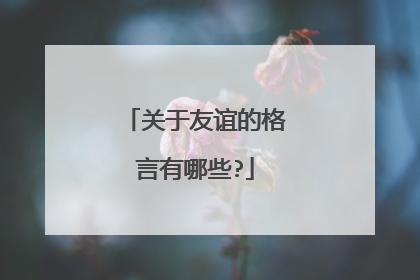 关于友谊的格言有哪些?