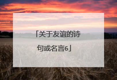 关于友谊的诗句或名言6