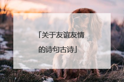 关于友谊友情的诗句古诗