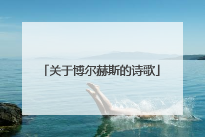 关于博尔赫斯的诗歌