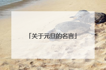 关于元旦的名言