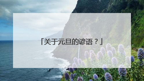 关于元旦的谚语？