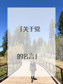 关于党的名言