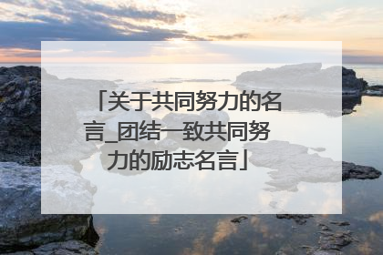 关于共同努力的名言_团结一致共同努力的励志名言