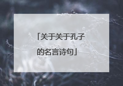 关于关于孔子的名言诗句