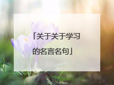 关于关于学习的名言名句